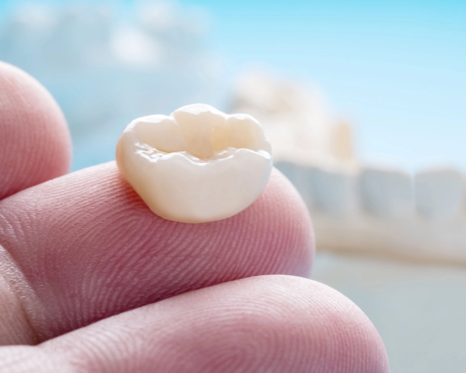 Hand holding tooth